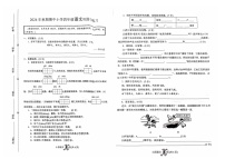 河南省南阳市内乡县2024-2025学年四年级上学期11月期中语文试题