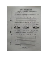 山东省菏泽市成武县2024-2025学年一年级上学期11月期中语文试题