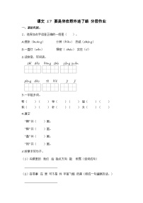 统编版（2024）二年级下册要是你在野外迷了路达标测试