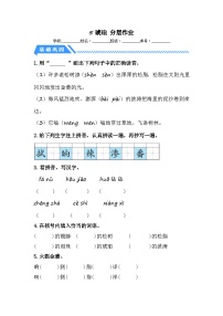 统编版（2024）四年级下册琥珀测试题