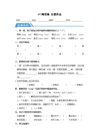 统编版（2024）五年级下册梅花魂同步训练题