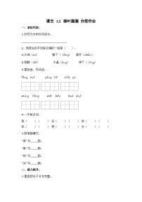 统编版（2024）一年级下册荷叶圆圆当堂检测题