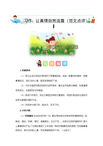 小学语文统编版（2024）六年级下册习作：让真情自然流露习题