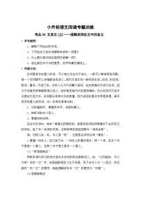 小升初语文阅读专题训练考点26 文言文(三)：理解实词在文中的含义（含答案）