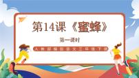 小学语文统编版（2024）三年级下册蜜蜂精品ppt课件