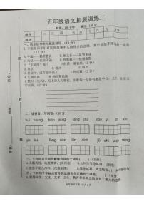 河南省安阳市滑县2024-2025学年五年级上学期11月期中语文试题