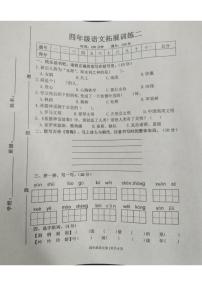 河南省安阳市滑县2024-2025学年四年级上学期11月期中语文试题