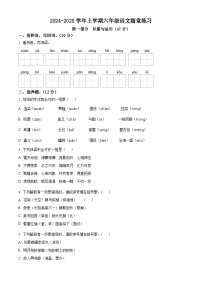 2024-2025学年江西省宜春市高安市统编版六年级上册期中考试语文试卷