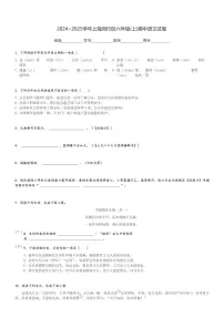 2024～2025学年上海闵行区六年级(上)期中语文试卷(含解析)