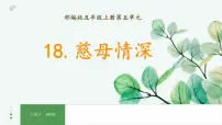 语文五年级上册慈母情深课文配套ppt课件