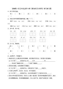 小学语文统编版（2024）三年级上册富饶的西沙群岛精品同步练习题