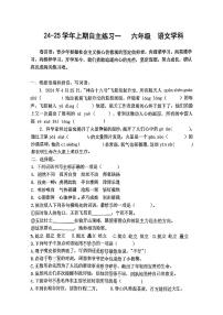 河南省郑州市郑州高新技术产业开发区郑州市郑中国际学校2024-2025学年六年级上学期11月月考语文试题