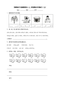 统编版2024-2025语文一年级上册上 拼音期末专项练习（三）（含答案）