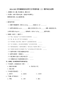 湖南省长沙市宁乡市2024-2025学年四年级上学期期中语文试卷