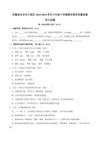 安徽省安庆市大观区2023～2024学年六年级(下)期末教学质量检测语文试卷(含答案)