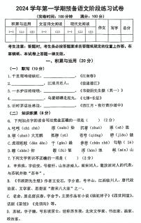 上海市浦东新区2024-2025学年六年级上学期期中语文试题