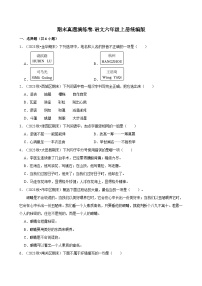 六年级语文上册 期末真题演练（原卷+答案）2024-2025学年第一学期统编版