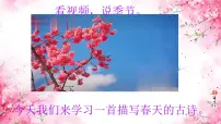 小学语文统编版（2024）二年级下册村居课文内容课件ppt