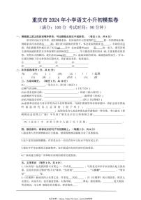 2024学年小升初语文模拟卷(三)试卷(含答案)