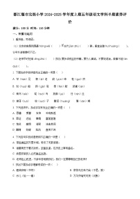 精品解析：2024-2025学年四川省成都市都江堰市都江堰市北街小学统编版五年级上册期中考试语文试卷