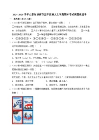 2024-2025学年山东省济南市五年级语文上学期期末考试真题重组卷（统编版）