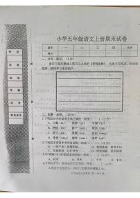 河北省邯郸市曲周县乡镇地区2023-2024学年五年级上学期期末考试语文试卷