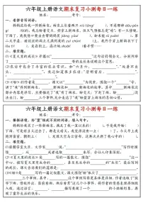 2024-2025六年级上册期末复习语文期末复习每日一练》