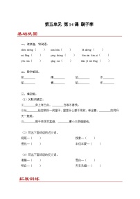 小学语文统编版（2024）五年级下册刷子李课后测评