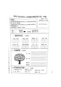 河南省驻马店市泌阳县2023-2024学年一年级上学期期末考试语文试题