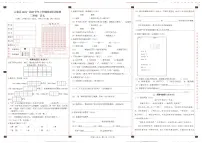 云南省大理白族自治州云龙县2024-2025学年三年级上学期期末测试语文试卷