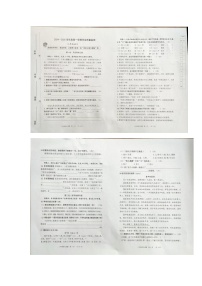 山东省潍坊市潍城区2024-2025学年三年级上学期1月期末语文试题