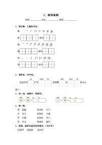 统编版（2024）一年级下册（2024）5 树和喜鹊精品精练