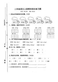山东省济宁市邹城市2024-2025学年二年级上学期期末考试语文试题