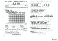 山东省德州市德州经济技术开发区2024-2025学年三年级上学期1月期末语文试题