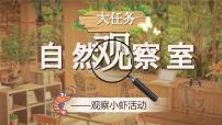 语文统编版（2024）小虾优秀课件ppt
