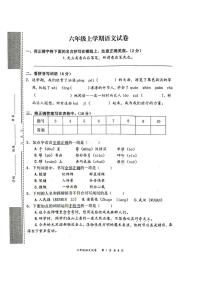 湖北省武汉市东新区2024-2025学年六年级上学期期末语文试卷