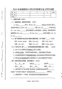 河南省南阳市宛城区2024-2025学年五年级上学期期末语文试题