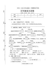 江苏省徐州市邳州市2024-2025学年五年级上学期1月期末语文试题
