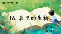 小学语文统编版（2024）六年级下册表里的生物教学课件ppt