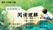 小升初语文复习课件6阅读理解