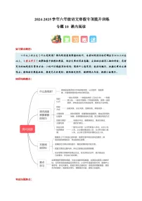 专题10 课内阅读-2024-2025学年六年级语文寒假专项提升训练（统编版）