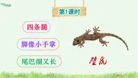 统编版（2024）一年级下册（2024）小壁虎借尾巴背景图ppt课件