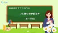 统编版（2024）三年级下册我们奇妙的世界完整版备课习题ppt课件