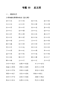 专题03反义词-备战2025年小升初语文精讲精练必刷题(全国通用)(学生版+解析)