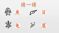 小学语文统编版（2024）二年级下册贝的故事教学ppt课件