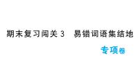 小学语文新部编版一年级下册期末复习闯关3 易错词语集结地作业课件（2025春）