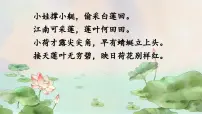小学语文统编版（2024）三年级下册荷花精品课件ppt