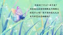 小学语文统编版（2024）二年级下册小毛虫说课ppt课件