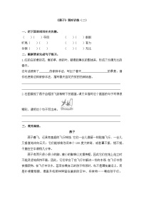小学语文统编版（2024）三年级下册燕子当堂达标检测题
