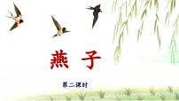 小学语文统编版（2024）三年级下册燕子说课ppt课件